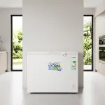 بسعة 254 لتر (9 قدم مكعب) فريزر فيشر الأفقي FCF-260ML