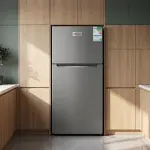 ثلاجة جنرال كلاس 16.9 قدم ستيل GEN-CL2-750